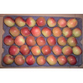 2015 New Crop Frutas Frescas Gala Fresca Apple